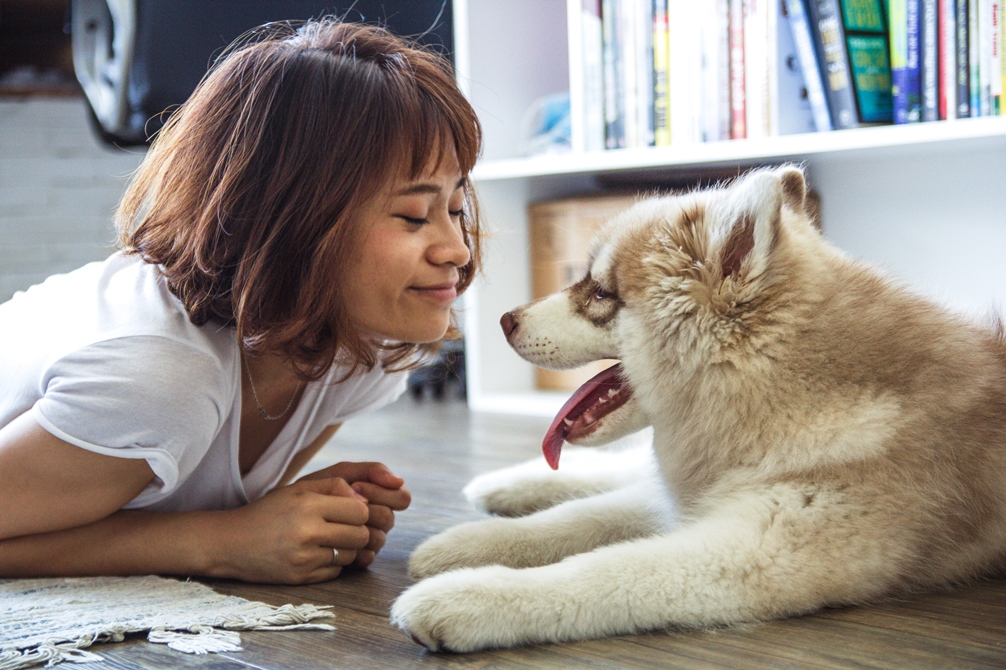 How to Boost Positive Energy in Your Home – Benefits of Positivity and High Vibes at Home