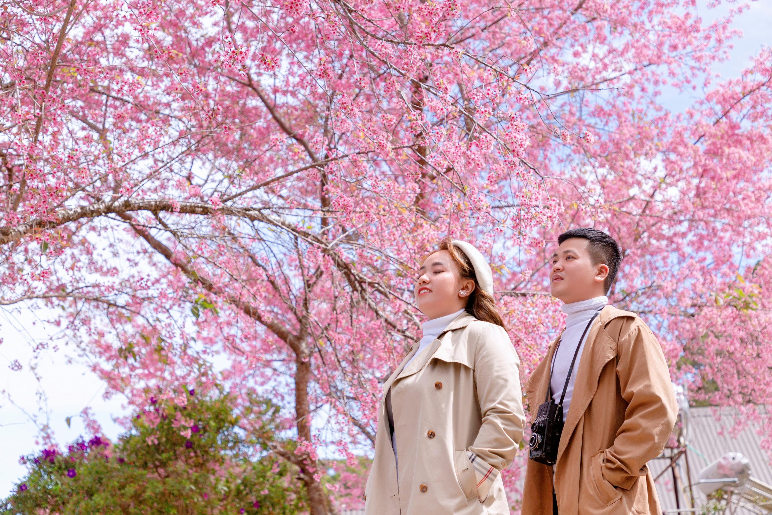 Japanese Walking: The Science-Backed Fitness Trend That Beats 10,000 Steps