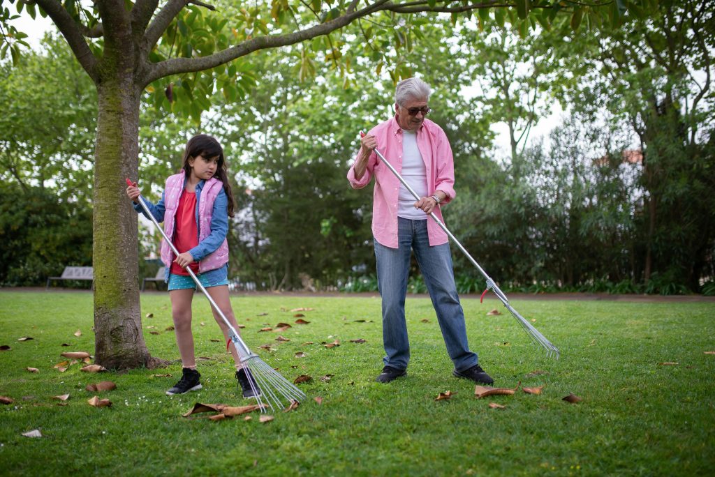 granddaughter learns to rake leaves in the garden from her grandfather, participating in chores at home